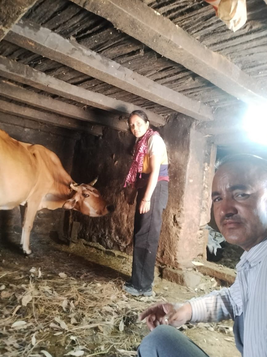 AdBageshwar's tweet photo. आज दिनांक 14/06/2023 को दुग्ध समिति वजूला मे श्रीमती नीमा देवी, रोशनी , लक्ष्मी देवी की गाय का लंपी का उपचार किया गया ।
दुग्ध समिति ऐचर मैं श्रीमती हीरा देवी की  गाय का उपचार किया गया ।
दुग्ध समिति रामपुर मे गायो का इलाज किया गया @DirectorDairy @basava_ias https://t.co/i4tErUntM2
