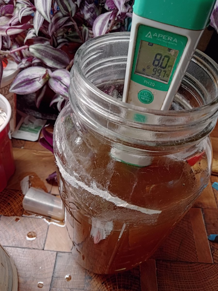 CopperreinGlass's tweet image. BY THE WAY

I made indigo dye today.

#fuckyeahscience