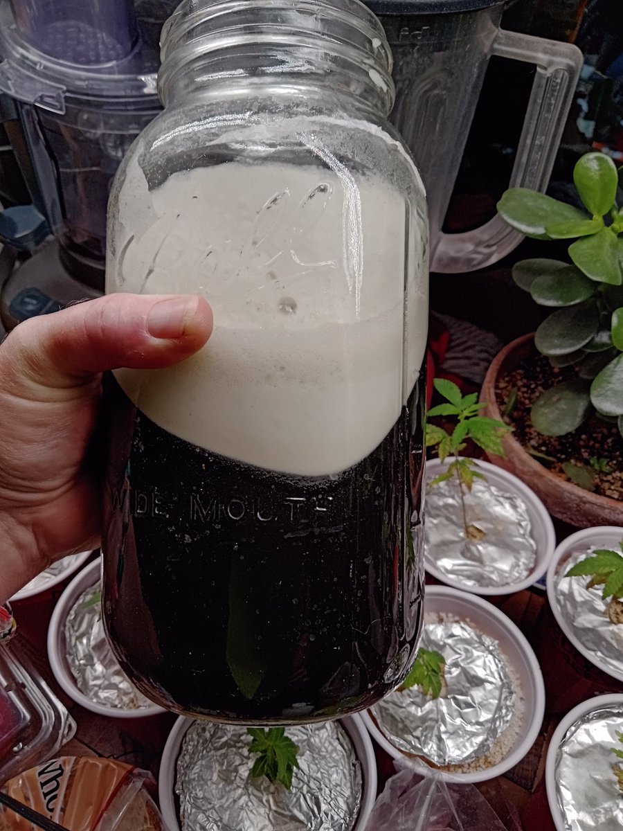 CopperreinGlass's tweet image. BY THE WAY

I made indigo dye today.

#fuckyeahscience