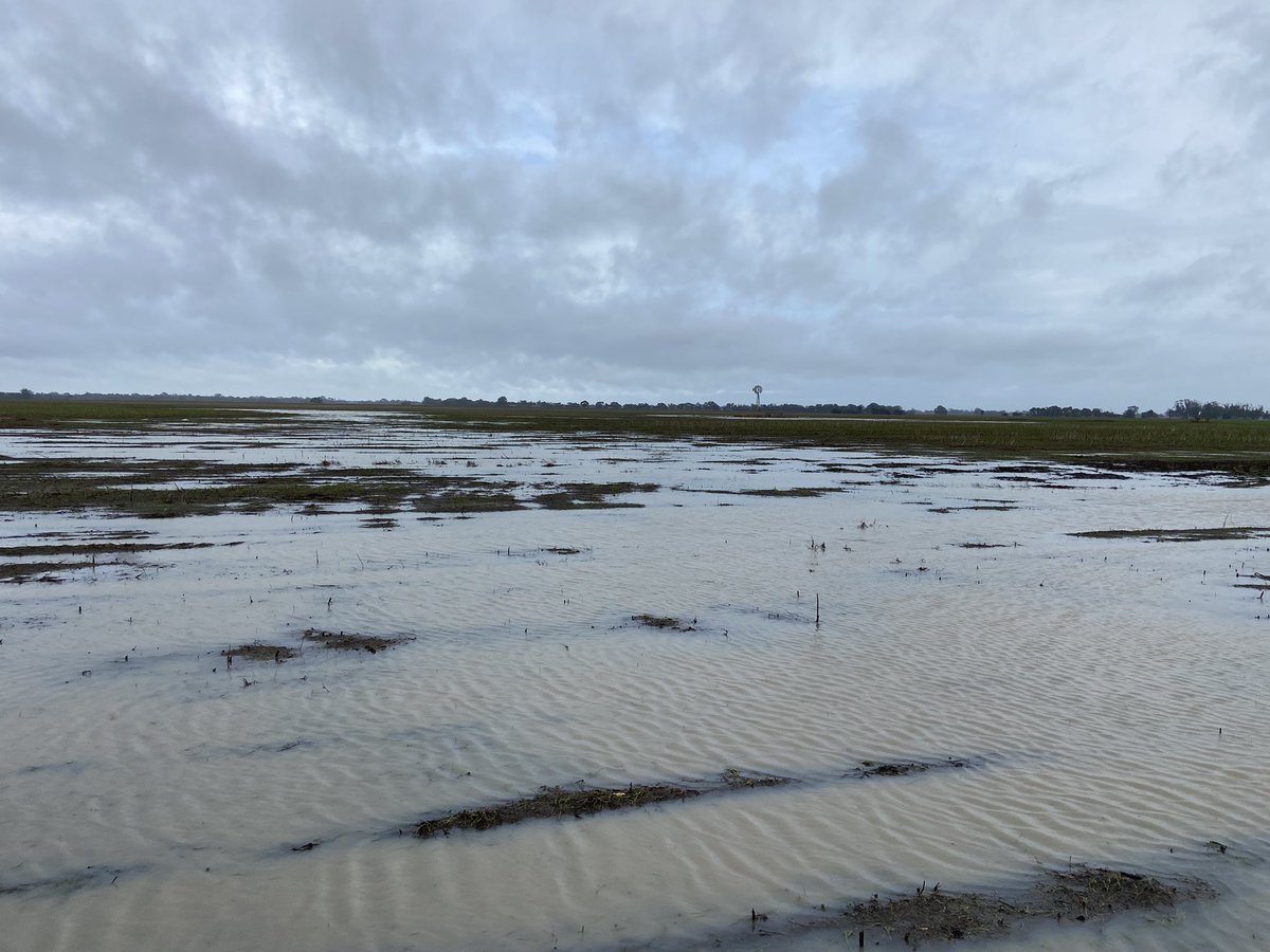 James Heffernan tweet media