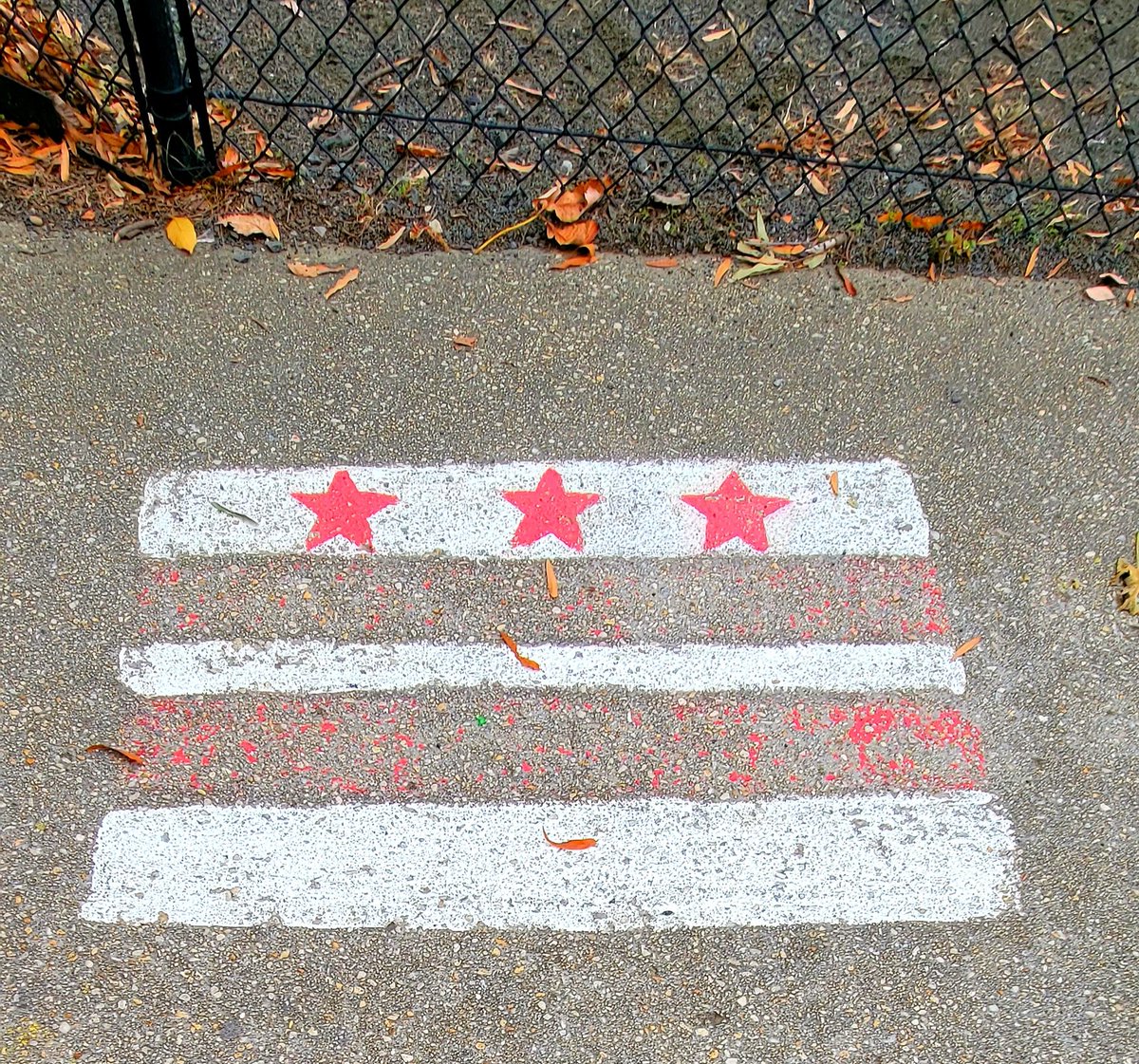 Every day is #FlagDay! 

#FlagDay2023 #AmericanFlag #DCflag #HappyFlagDay #WashingtonDC #districtofcolumbia #DCStatehood