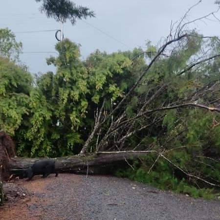 Reten_Chiriqui tweet media