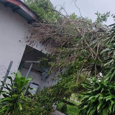 Reten_Chiriqui tweet media