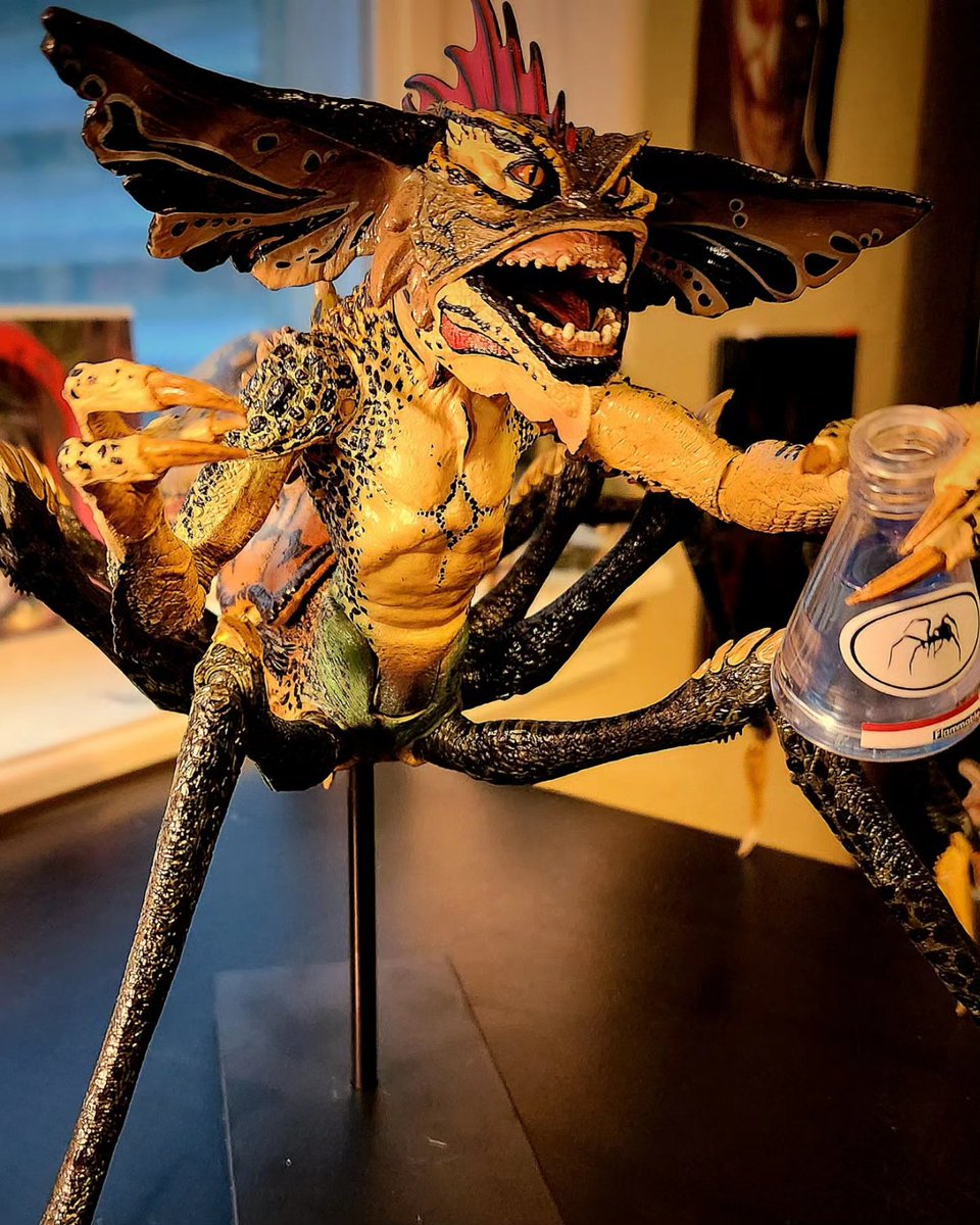 Windbreaker1313's tweet photo. My new prized toy possession!! The Spider Gremlin from #Gremlins2!! This thing is freaking huge!!
#stripe #gremlins #spoder @NECA_TOYS #toyphotography #nerd https://t.co/VF9n6D5OK3