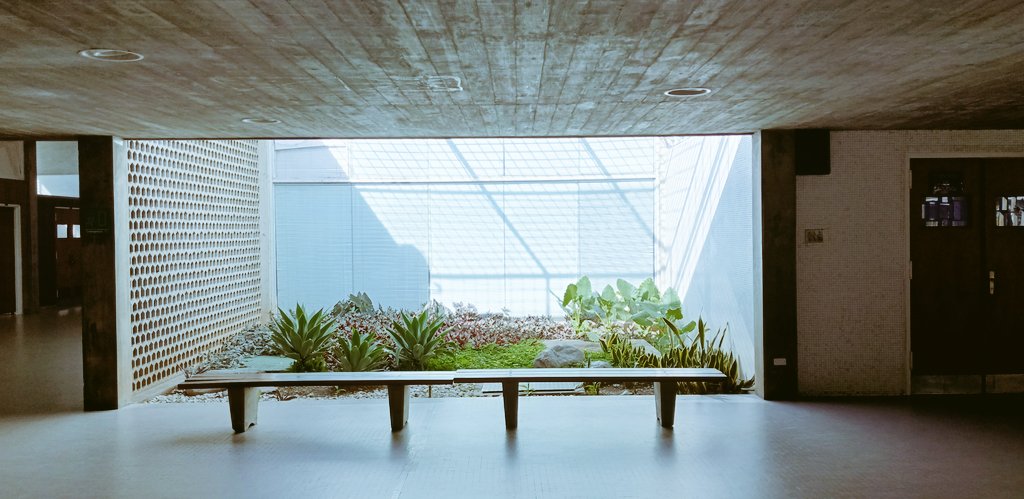 argenislugor's tweet image. En la rutina diaria, una pausa contemplativa, nos da el impulso para seguir adelante.
#slowmode

Jardín #FAU #UCV