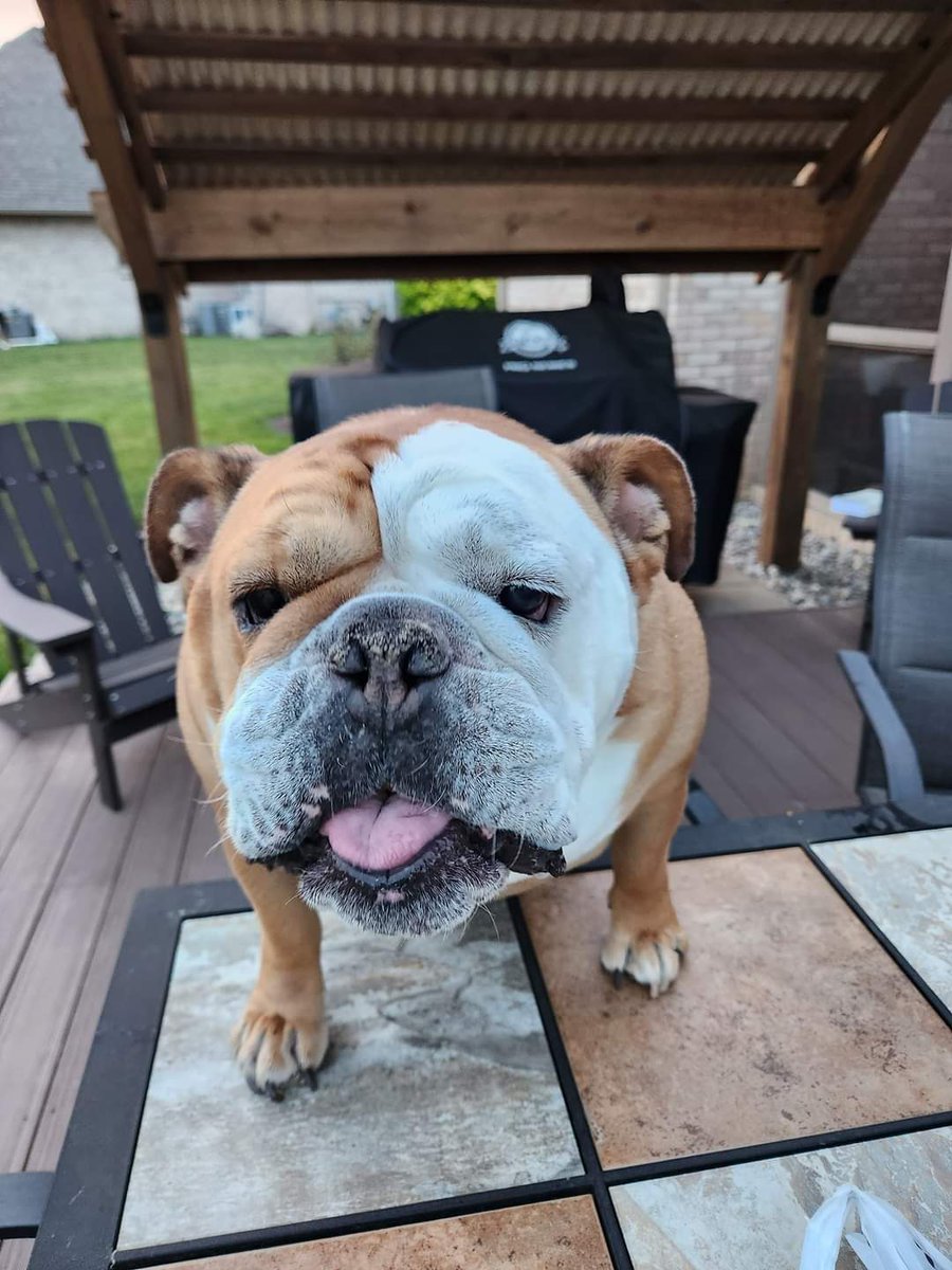 Jeremiah Wheatley tweet media