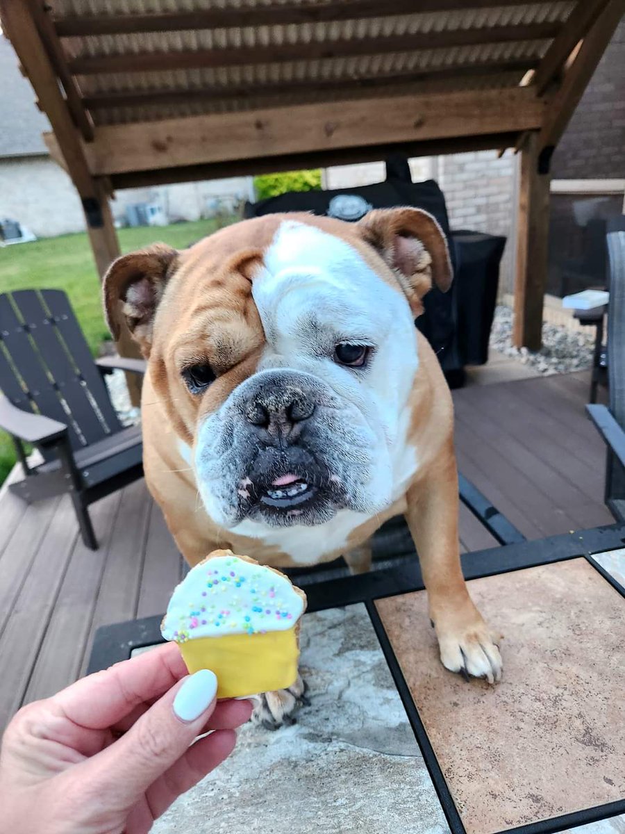 Jeremiah Wheatley tweet media