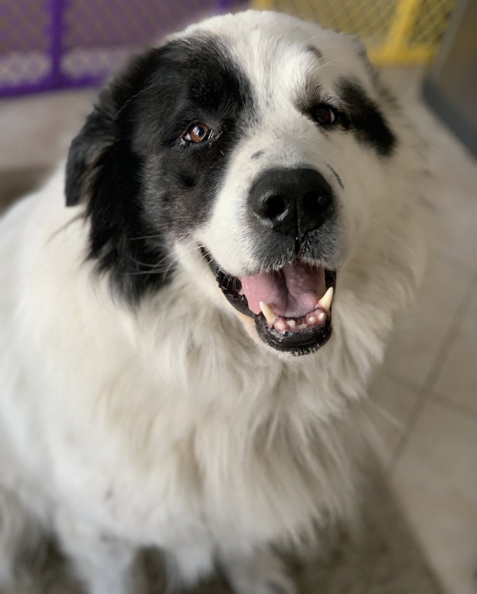 Courtney Jones tweet media