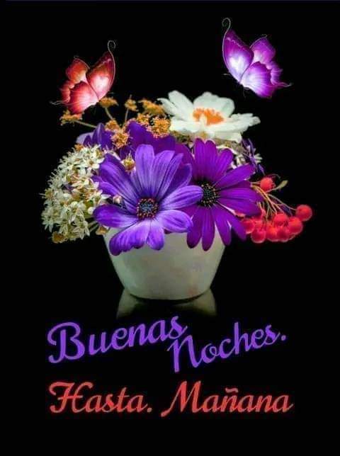 Neyda21708001's tweet photo. Hasta Mañana Compañeros 😘

#NoMásInjerenciaYankee
@NicolasMaduro @Mippcivzla @VTVcanal8 @PartidoPSUV @Neyda21708001 @neydaf1 @laindomable2135 @walfonzo45 @wilsandravilch1 @WilsonM96668351 @wilman825 @wil39374745 @DenyWilche94444 @WILLIAMCEBALLOS @HeyWilye https://t.co/4Bm5Nrlrv5