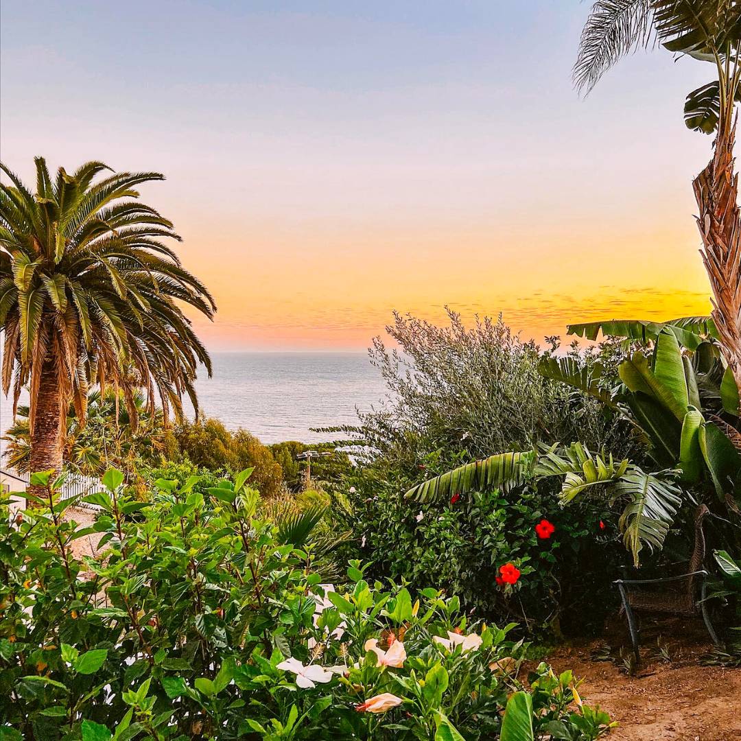 PaxPrentiss's tweet image. Experience the breathtaking sunsets at Passages Malibu as you embark on a life-changing journey toward recovery and personal growth. ow.ly/zpVh50OMhR7

#PassagesMalibu #Non12Step #LuxuryRehab #NewBeginnings #AddictionRehab #AddictionTreatment