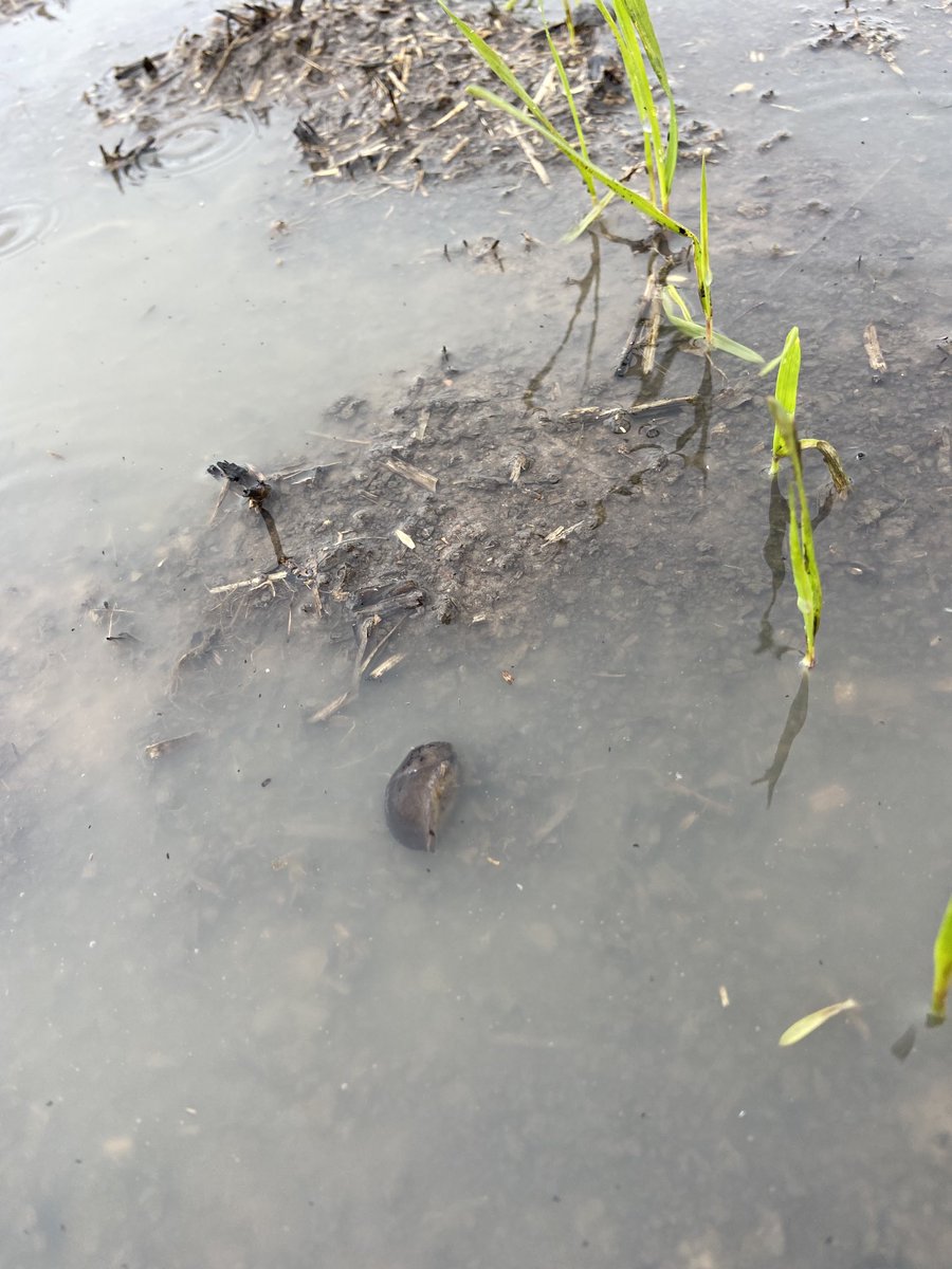 James Heffernan tweet media