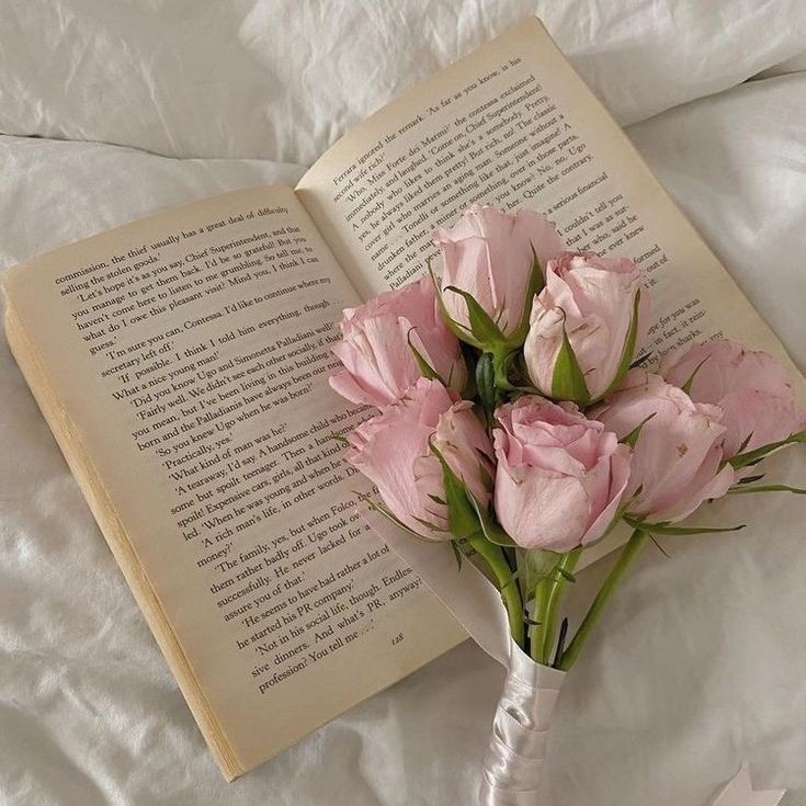 emystudies_'s tweet image. 𝑜𝑖𝑖, 𝑒́ 𝑎 𝑀𝑖𝑚𝑖
      ★ '04 | ela/dela ⚢︎ | intj
      ★ meta: psicologia (UFRJ/UERJ)
      ★ e.m completo/2022
      ★ idiomas: inglês e francês

      (🫀) = Ariana Grande, música, Bela e poesia.

↺/♡ = moots