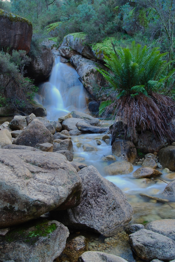 brianfurze's tweet photo. Mt Buffalo National Park - another one of my very happy places!

#LSTnationalparks
#landscapesandtravel
#LoSTmountains
#seeHighCountry
@seehighcountry https://t.co/RcgAojef3x