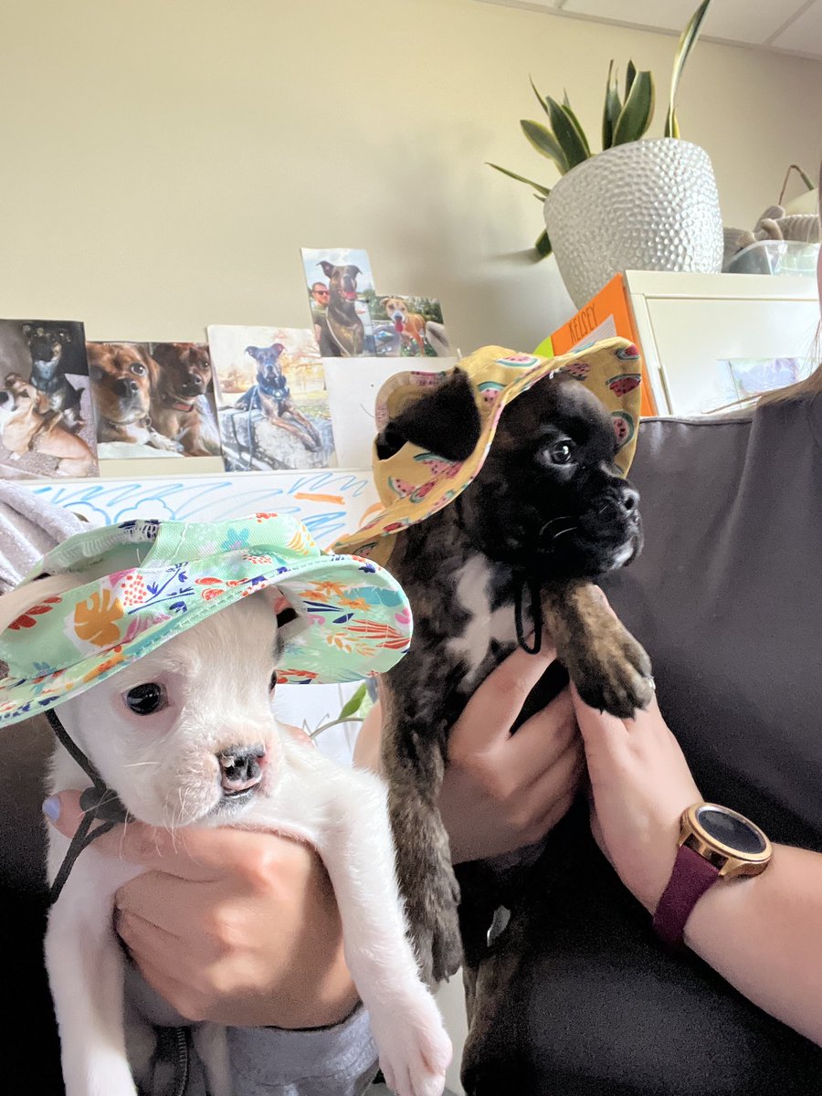 Just Squid (left) and Bruce (right), trying out their summer gear! 🌞