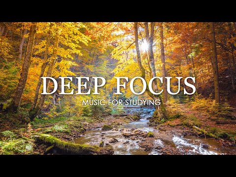 d74OzK3W0xpFmXq's tweet photo. Deep Focus Music To Improve Concentration - 12 Hours of Ambient Study Music to Concentrate #515

https://t.co/zmASOV68Cc https://t.co/kt2O8H6ieX