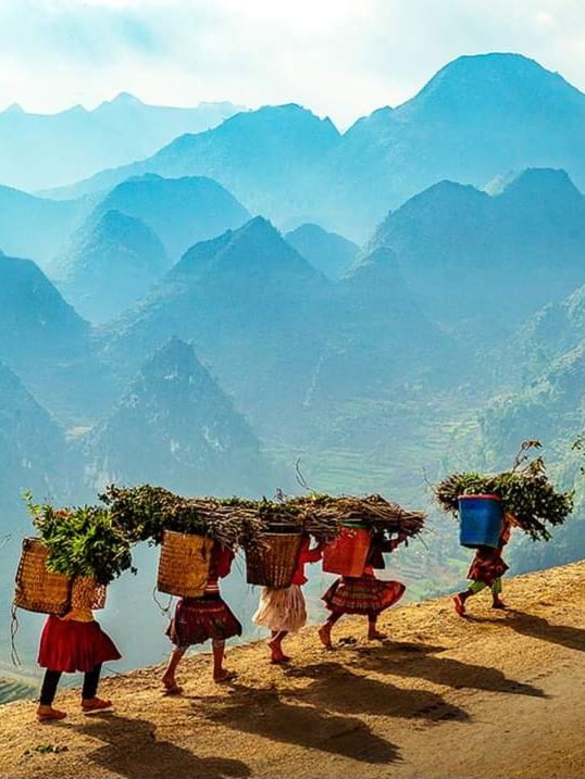 vietnamtravel20's tweet photo. Top Vietnam Tour Experiences You can expect. From the boisterous city to peaceful countryside, from the breathtaking beaches to ancient town,..
Check out Sao La Tours at >> https://t.co/pJZjG7xoan
#Saola_Tours #Tour_Travel #Traveling_Service #Traveling_Agency
#Vietnam_Vacation https://t.co/vla5sF1wKi