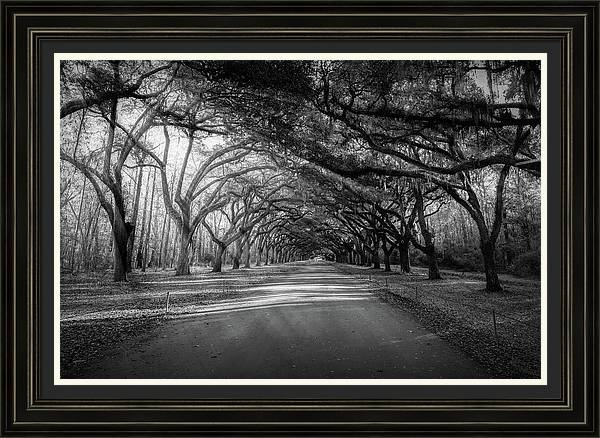 nbrandsberg's tweet photo. Wormsloe Plantation Oak Alley at sunset in black and white:
https://t.co/jpzLh5iuHl 

#georgia #wormsloe #wormsloeplantation #blackandwhitephotography #savannah #treeshadows #landscapephotography #art4mom #travelphotography #nature #BuyIntoArt #springforart #art #AYearForArt https://t.co/oEEufAPBSx