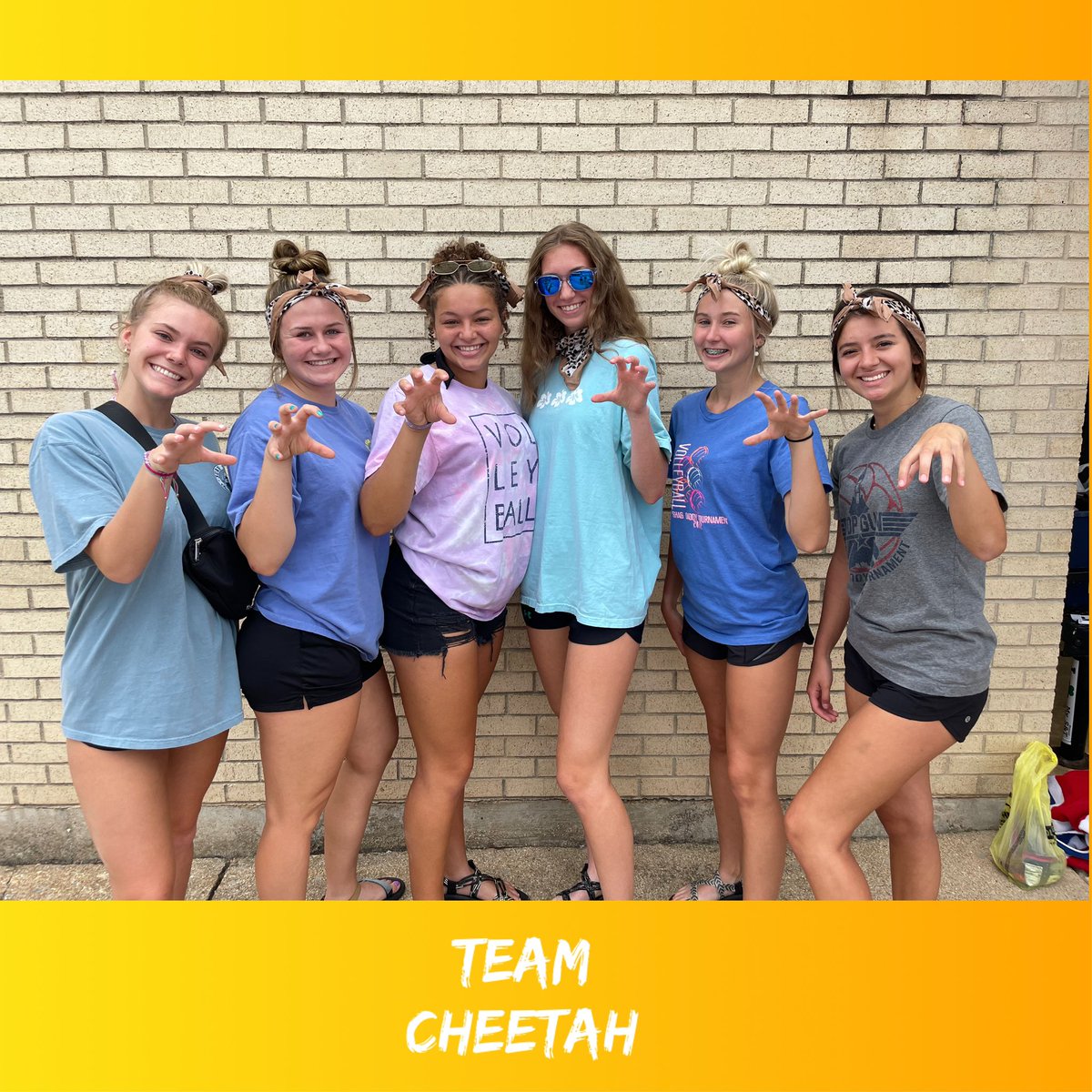 Lebanon Volleyball tweet media