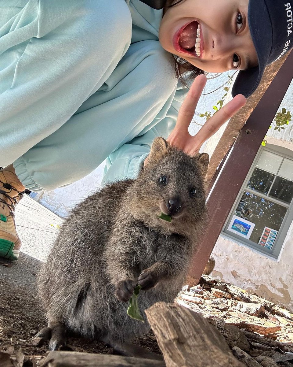 Fly from Melbourne to Perth to make #quokka dreams come true? ✈️🇦🇺 Totally worth it! Get dreaming: bit.ly/3pdfuGq

📷: lalalalisa_m/IG from @BLACKPINK in @DestPerth #WAtheDreamState #BLACKPINK #quokkaselfie