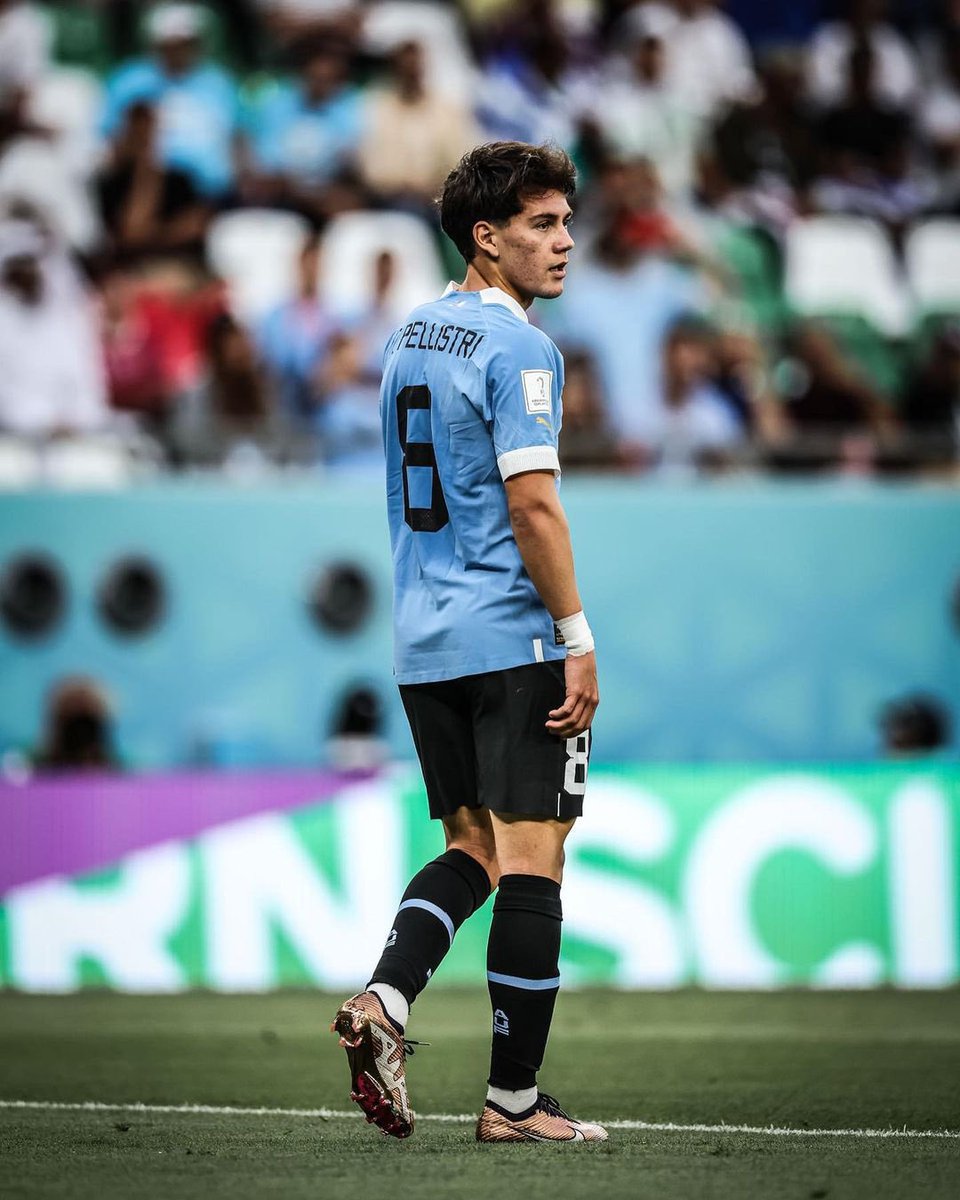 román tweet media