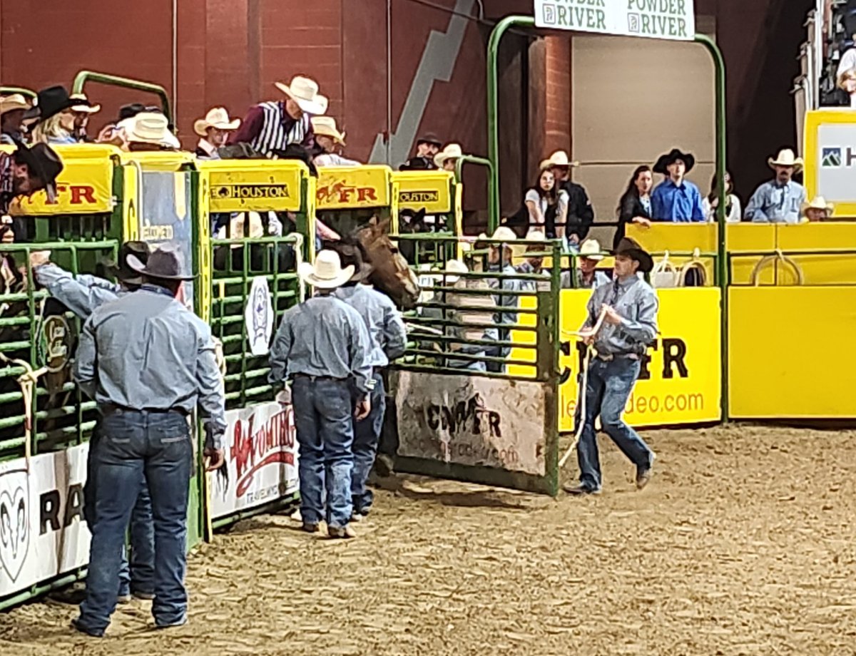 LCCCsports's tweet image. It's not just the athletes performing here in Casper this week. 

While Laramie County Community College Rodeo didn't have anyone in the performances tonight, coaches Seth Glause and Dean Finnerty were still at work. 

Shoutout to two of the best in the business!

#BeGolden #CNFR