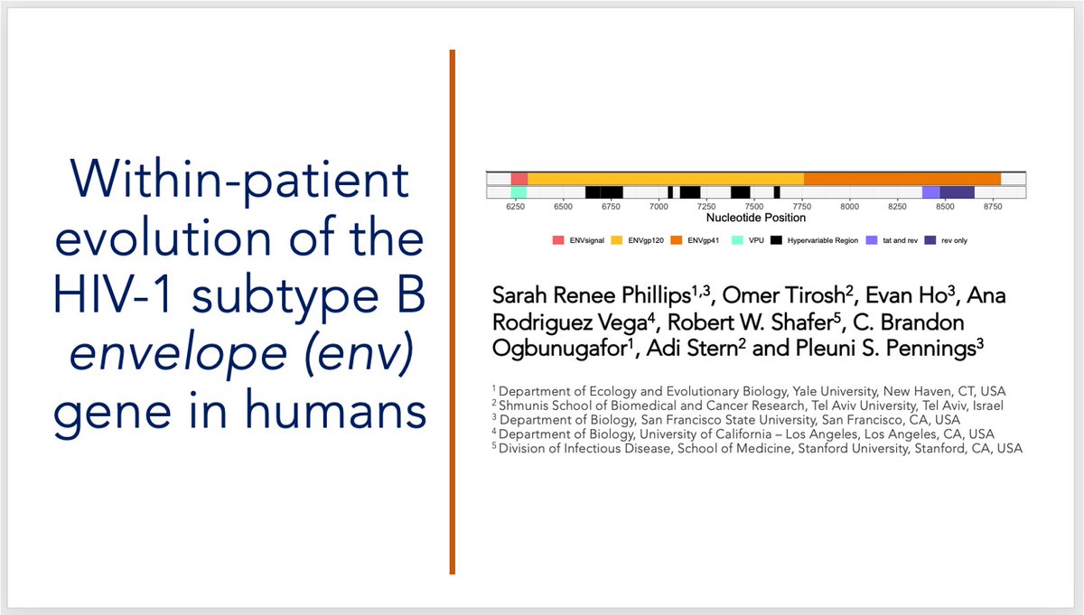 Excited for this, too! I will be breaking out my Hermione Granger time turner so that I can ALSO attend/present some new research at #Evol2023 next week. Honored to represent new collaborators on this #HIV #viral #evolution project. 

2 conferences in one week. Send pudding.😉