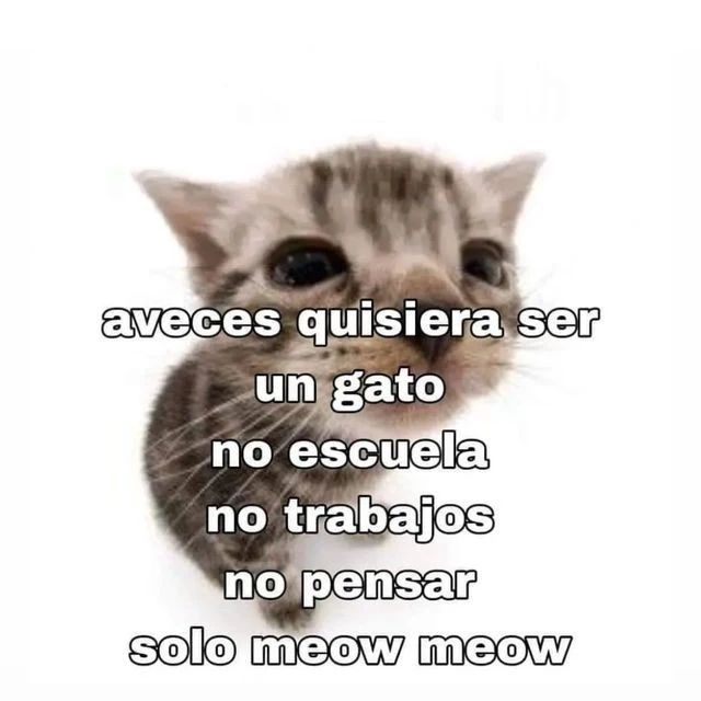 vinoypastis (@vinoypastillas) on Twitter photo 