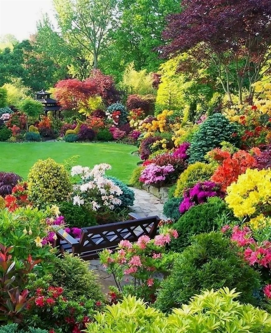 gradingsig's tweet photo. Gardening lovers❤️❤️ https://t.co/H2WS4veE78