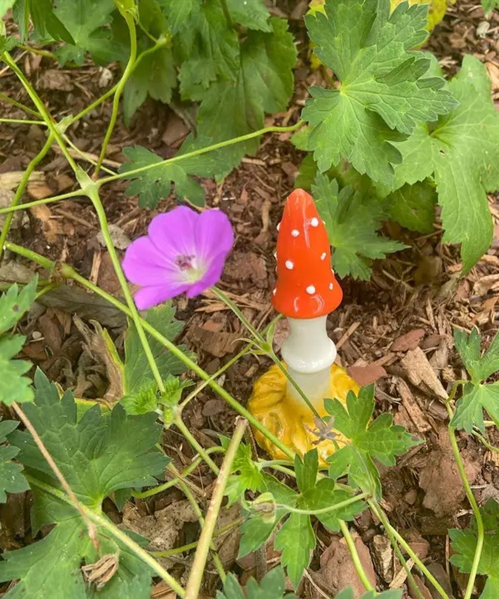TalkinSexLive's tweet photo. Last group of photos from our game Is It a Sex Toy? from our 6/3/23 podcast. Producer Chris the Piss was the winner! Check out the episode here: https://t.co/ZS0OGWneJg https://t.co/qxxHjkwVvD