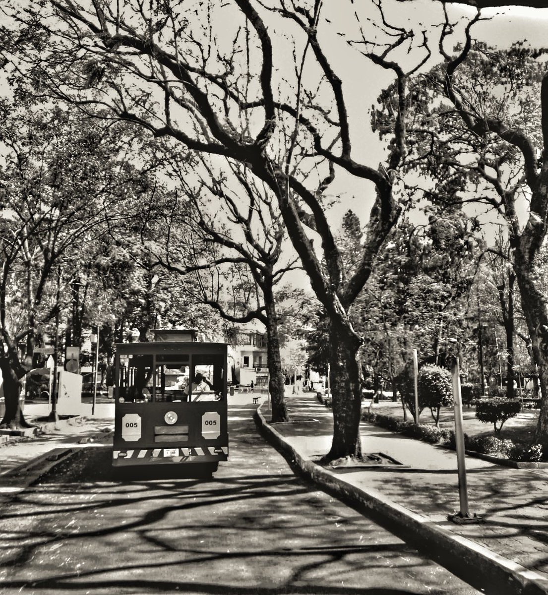 Tranvía de leyendas, Tranvía de leyendas 🚃📣 ¿listo para abordar?

Te esperamos detrás de la Iglesia de San Juan Bautista, sobre calle Ignacio Allende en el Centro de Coyoacán. 😊🙌🏼

#leyendasurbanas #cdmxcultural #tranviadeleyendas #centrodecoyoacan