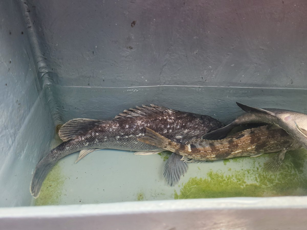 자연산회 드실분~~~