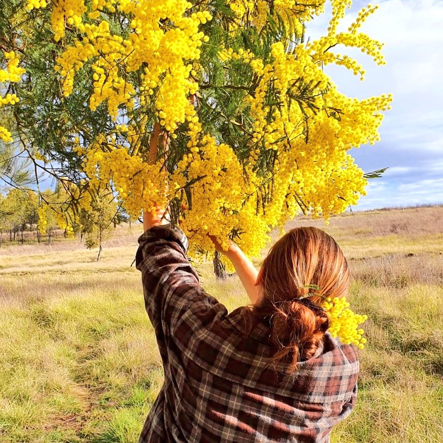 Norann Voll tweet media
