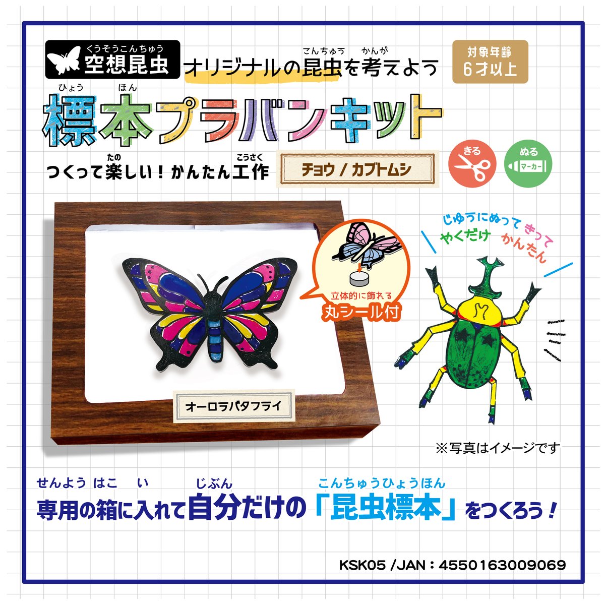 ハピラ 新商品】 ◢◤作って遊んで楽しい工作シリーズ✂◢◤ 🦋標本