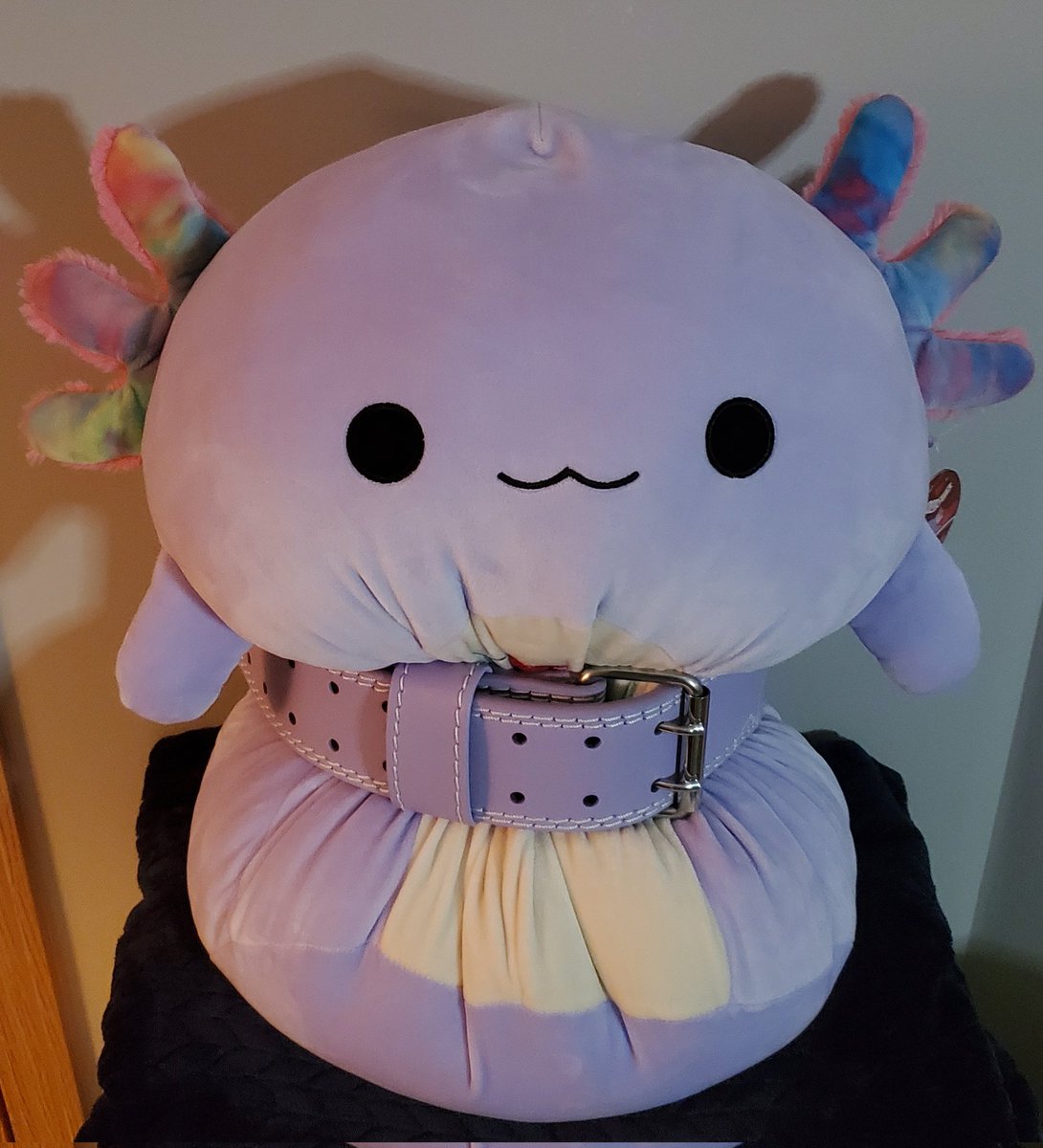 She's ready for gains 💪

#squishmallows #Vtubers #Vtuber #VtuberSupport #VTUBERSUPPORTCHAIN #VTuberUprising #VTuberEN #twitch #twitchstreaming #squishmallow