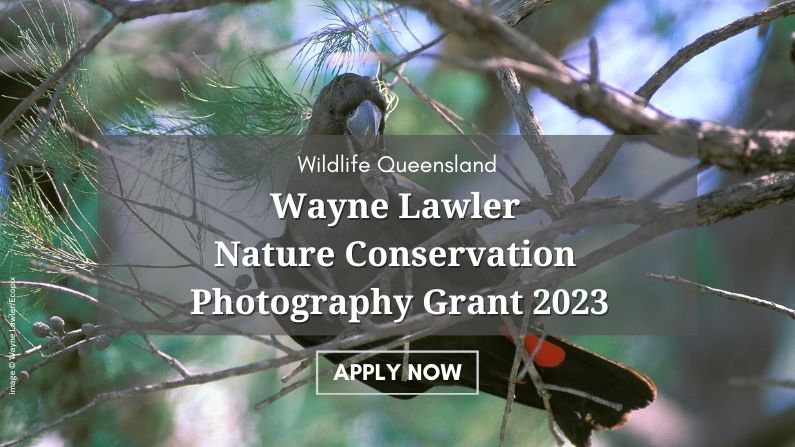 This #NaturePhotographyDay we're excited to launch a new grant which aims to empower Aussie photographers to support conservation projects and create a positive environmental impact through the lens.👉 bit.ly/3p3F2Wu
#NaturePhotography #natureconservation