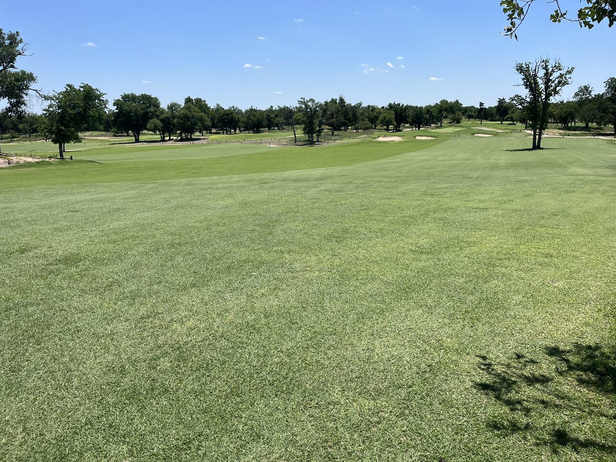 Fairways are….

Coming to life!!!