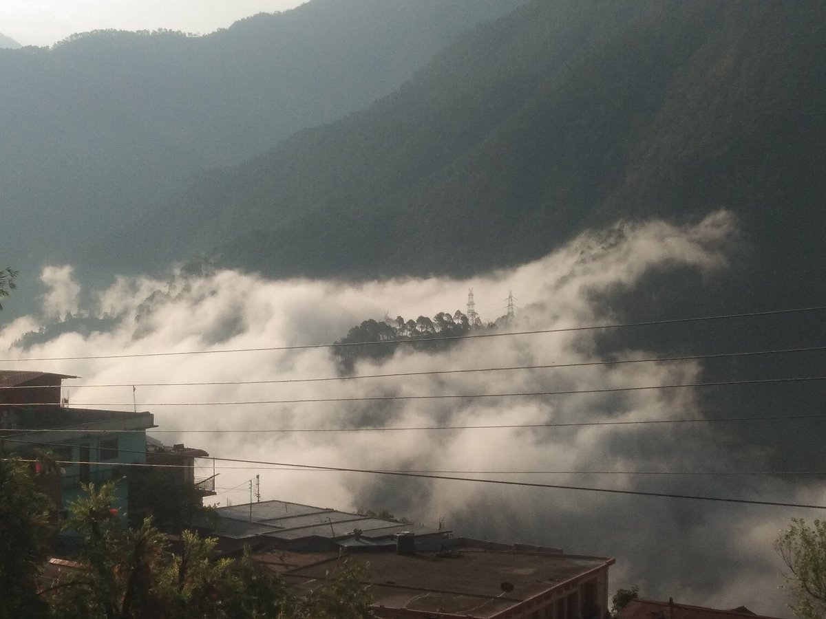 🌿Good morning beautiful 🌿