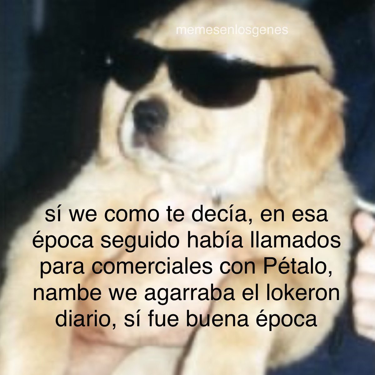 memesenlosgenes's tweet photo. https://t.co/TX5tbnclgp