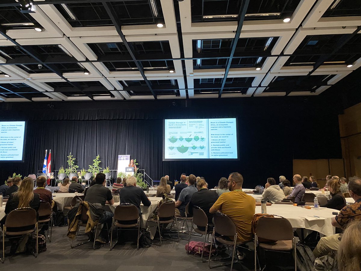 n_philipsen's tweet photo. Having a great time at @QuebecRE3 
conference on Reclaiming, Restoring and Rewilding. Had the pleasure of presenting a poster on early stage work of my PhD.  Great to get the conversation going about how large herbivores may change GHG-fluxes and soil C &amp; N pools. @wild_soil https://t.co/fQLKBcrcsS