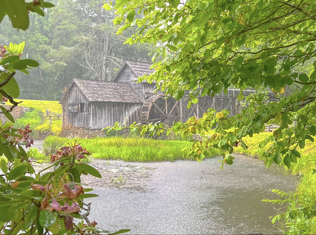 aagordonphotos's tweet photo. “Afternoon Drive” #weekend #BlueridgeParkway #blueridge #parkway #MabryMill #MayberryTradingPost #MeadowsofDan #nature #photography #amazingaagphotography https://t.co/FeqhHiombg