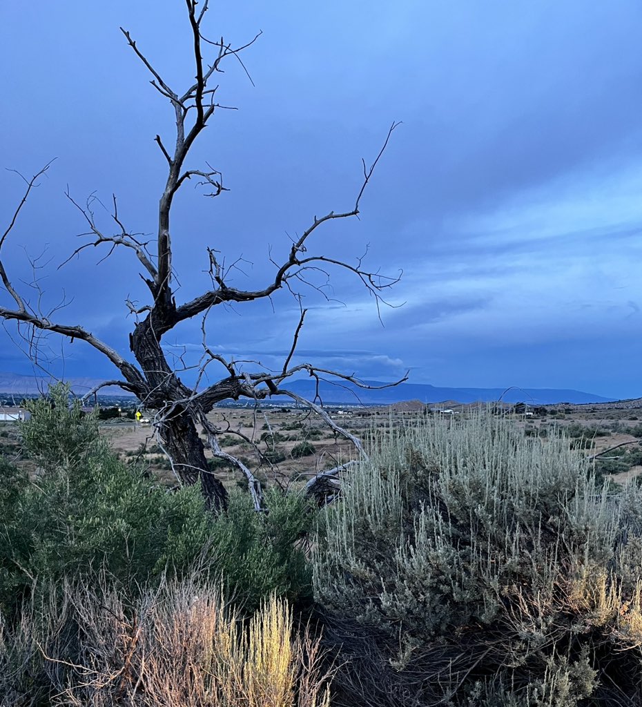 Lessons learned so far from home…