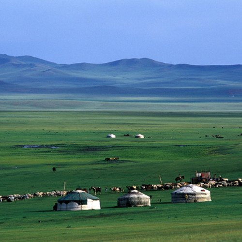 Mongolia tweet media