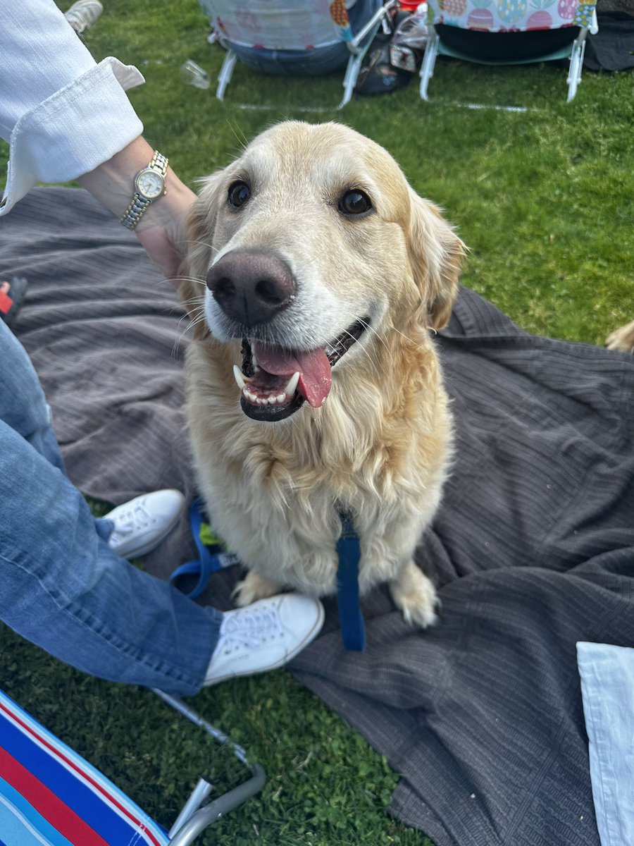 Portland Pickles tweet media