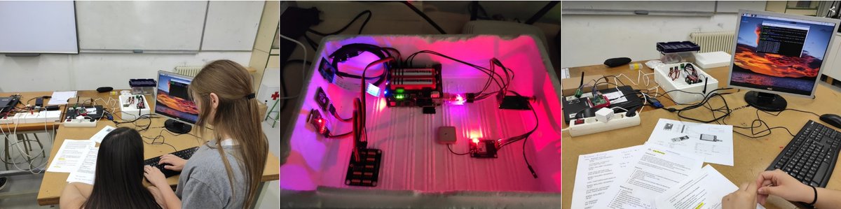 Enric Bolaño Vendrell tweet media