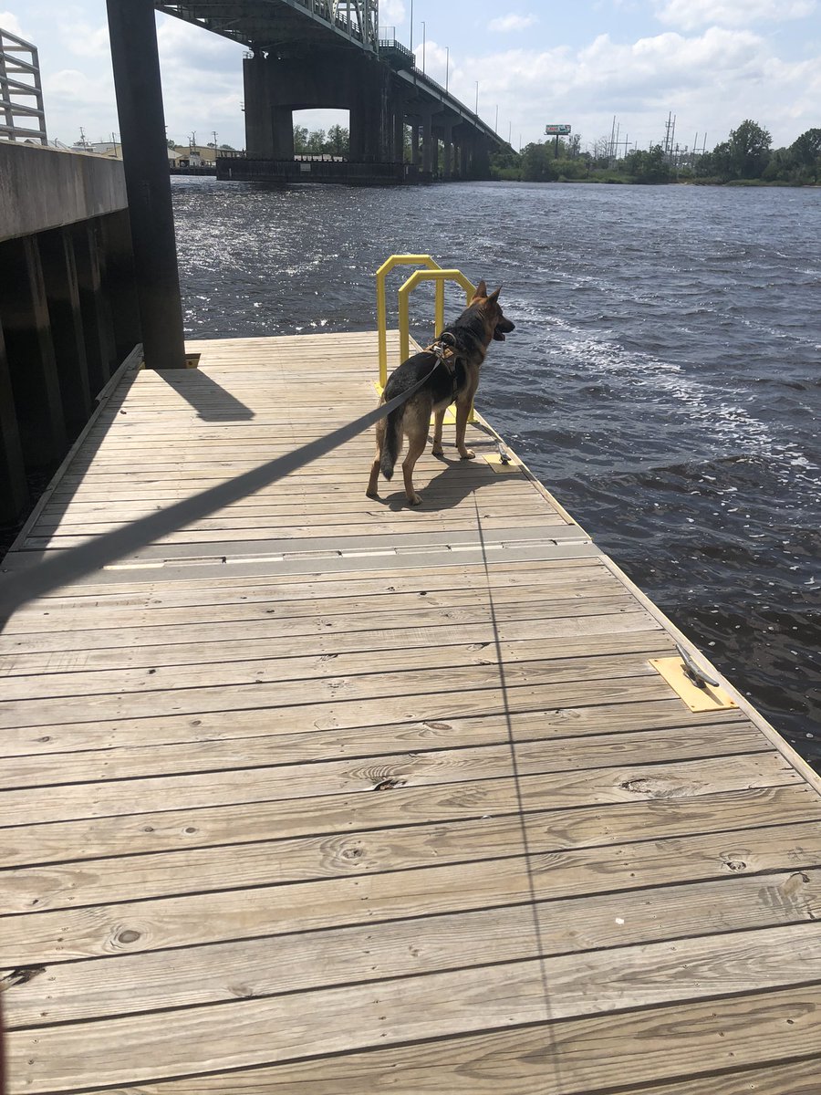 notw1955's tweet photo. At the river https://t.co/9z7BIgV1IJ