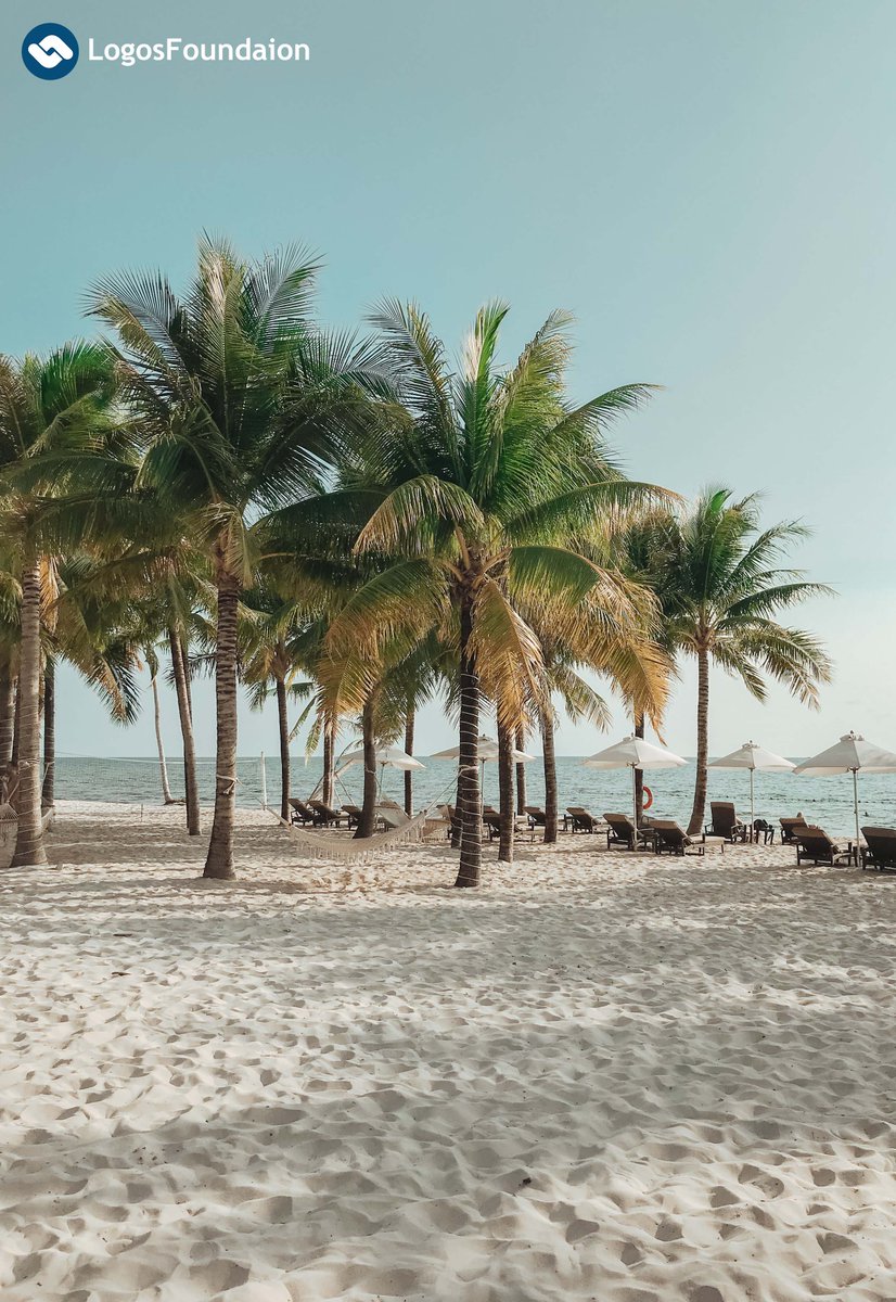 FoundationLogos's tweet image. A trip with the sea and tourist attractions🏄‍♀️
The most popular city Da Nang.🏝
A trip to Vietnam✈️🇻🇳

#Travel #Vietnam #DaNang #LOGOS #LOGOSPAY #LOGOSZONE