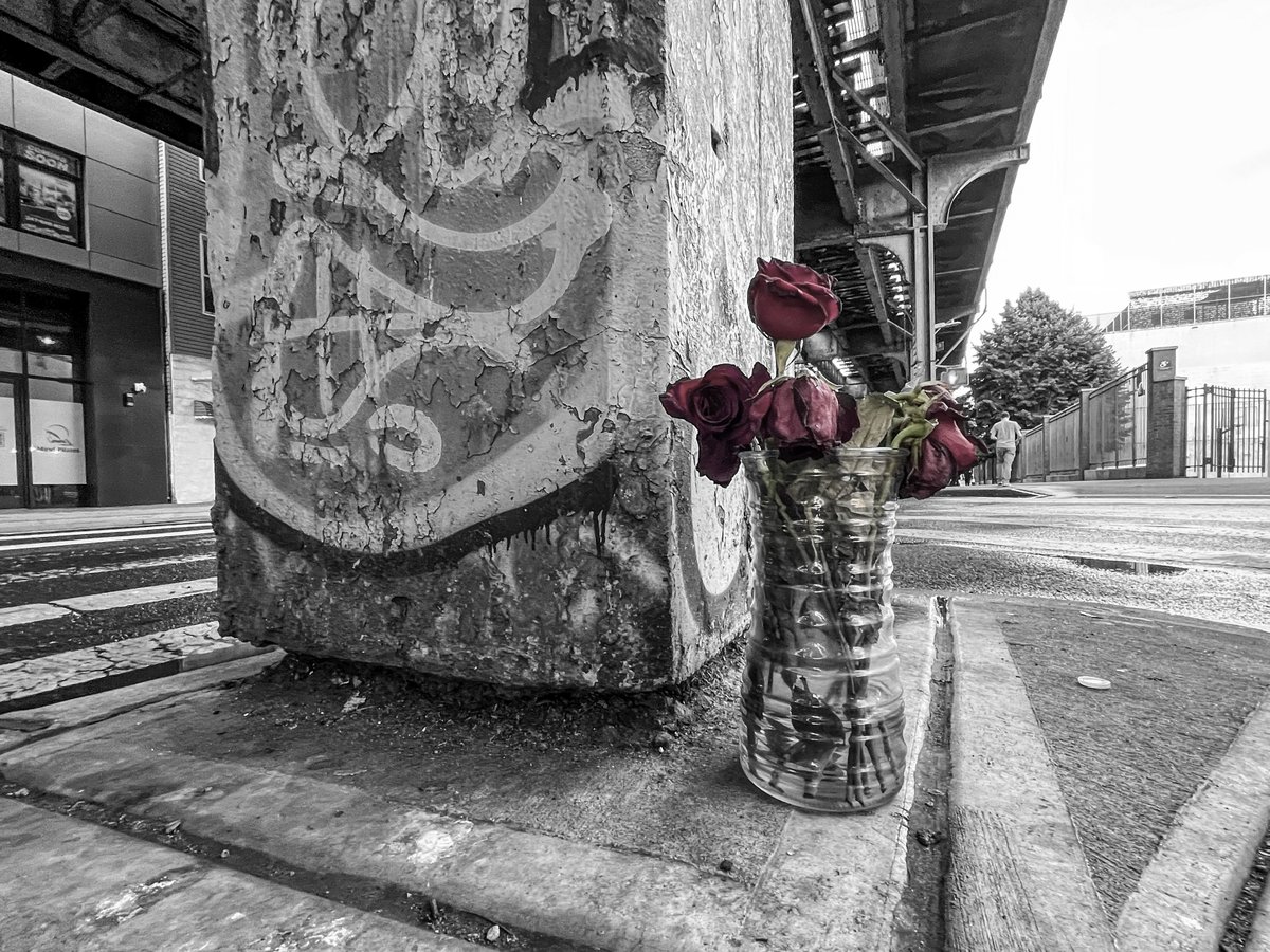 #icanbuymyselfflowers #bushwick #bushwickbrooklyn #brooklyn #brooklynny #streetart #flowers #streetsofny #exploring