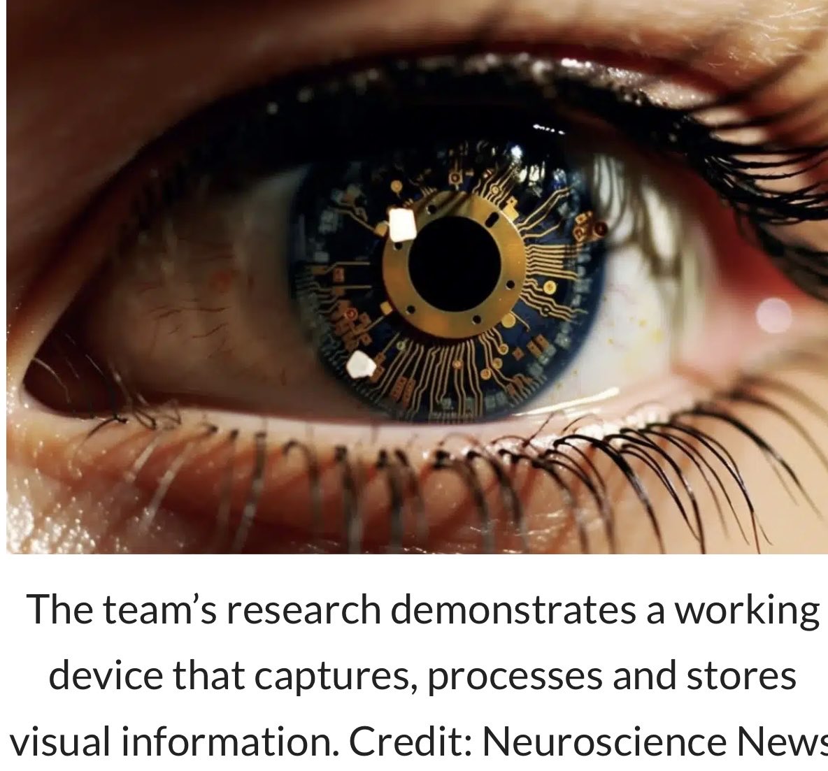 [Groundbreaking]

A #Chip Off the Old Eye: Device #Mimics Human #Vision and #Memory 
By @RMIT via @NeuroscienceNew 

#Ophthalmology #Vision #AI #SelfDrivingCars #Neurotech #Neuroscience #RealTime #Data 

👉neurosciencenews.com/vision-memory-…
@IanLJones98 @JohnNosta @FrRonconi @SpirosMargaris…