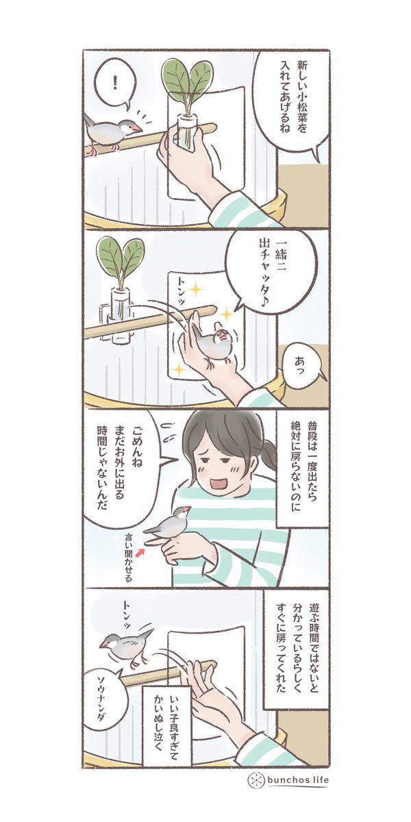 常にお外で遊びたいタイプの2号、状況から出ちゃダメなときもちゃんと分かるの賢い
#文鳥 
#4コマ漫画 

*過去作ダウンロードできます!(固定ツイート参照) 