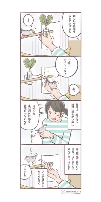 常にお外で遊びたいタイプの2号、状況から出ちゃダメなときもちゃんと分かるの賢い
#文鳥 
#4コマ漫画 

*過去作ダウンロードできます!(固定ツイート参照) 